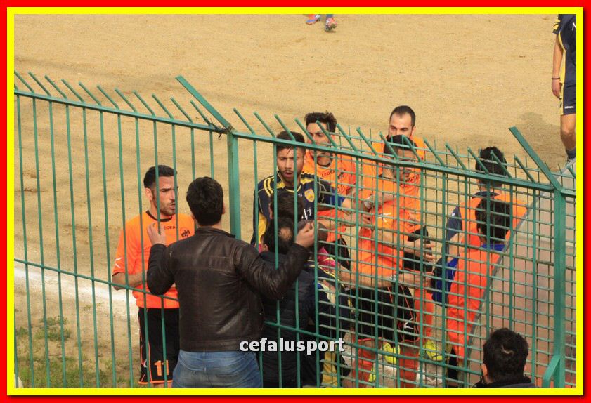 150321 stefanese 122_tn.jpg